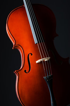 Violin on the black background