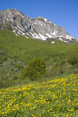 Fototapeta premium Springtime in Ligurian mountains part of Italian Alps