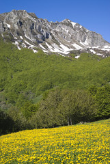 Springtime in Ligurian mountains part of Italian Alps