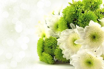 White and green chrysanthemum bouquet. - obrazy, fototapety, plakaty