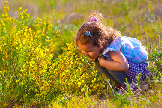 little baby girl studying touching look yellow flower(Chamaecyti