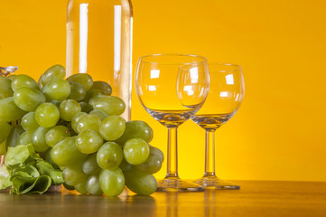 Mediterranean theme with fish on bright background