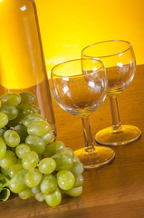 Mediterranean theme with fish on bright background