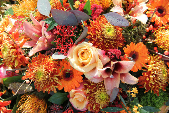 Fototapeta Flower arrangement in autumn colors