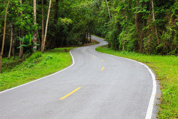 S - curves road into the forest with yellow and white line