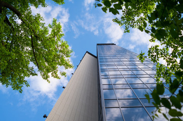 Modern blue office with sky reflections in windows - obrazy, fototapety, plakaty