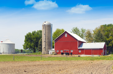 American Farmland With Blue Cloudy Sky © maksymowicz