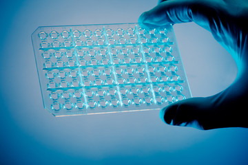 genetic researchings