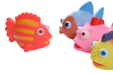 Obraz premium colorful rubber fish society - senior & juniors_on white
