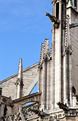 Fototapeta na wymiar Notre Dame Cathedral - Paris