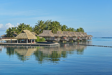 Fototapeta premium Französisch-Polynesien-Moorea-6305