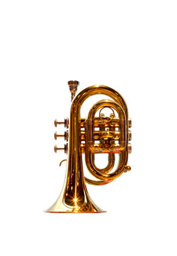 Pocket trumpet on white