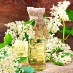 Sambucus
