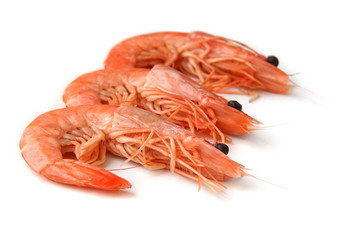 crevettes