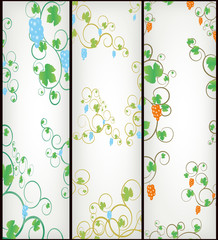 Set of summer banners with elements of the vines