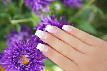 Fototapeta premium French mit Aster