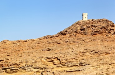 Forex traders in oman