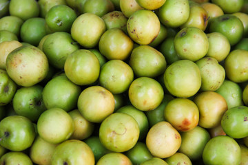 GREEN MONGKEY APPLE