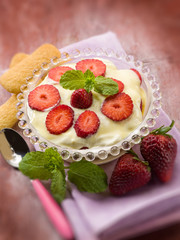 strawberry tiramisu dessert, selective focus