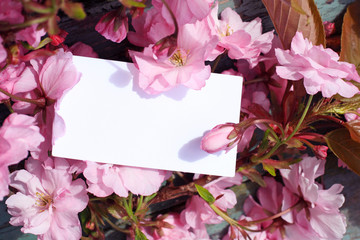 Japanes tree blossom with a blank note