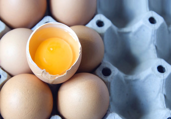 Egg Yolk in Shell.