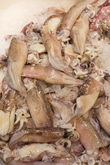 Tintenfische auf Eis © Kara