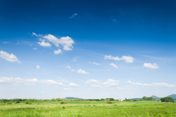 green field background