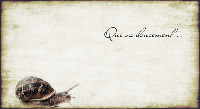 escargot et proverbe