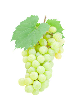 Ripe grapes with leaves