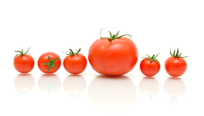 ripe tomatoes on a white background with reflection