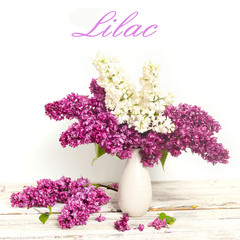 Beautiful Bunch of Lilac in the Vase