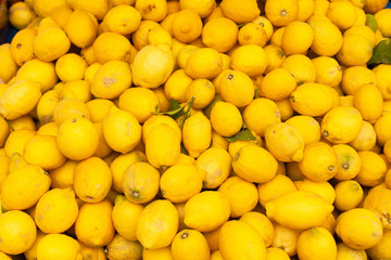 étalage de citrons biologiques sur le marché