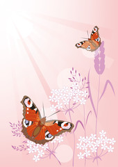 Summer background with flowers and butterflies