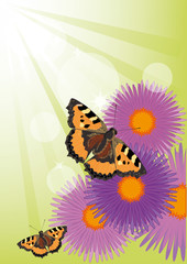 Summer background with flowers and butterflies