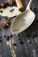 Spices and Old Spoon  on Timber