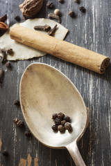 Spices and Old Spoon  on Timber