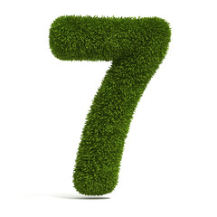 The Number 7 - Grass