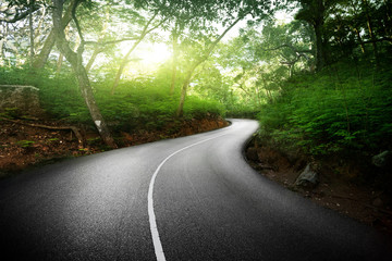 Fototapeta premium empty road in jungle of Seychelles islands