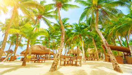 Playa del Carmen beach resort