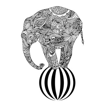 Elephant on ball