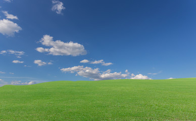 grass and blue sky