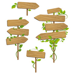 Panneaux à feuilles © Orkidia