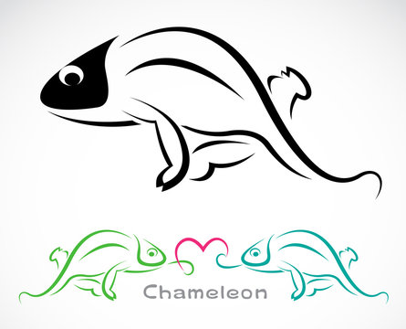 Vector image of an chameleon on a white background