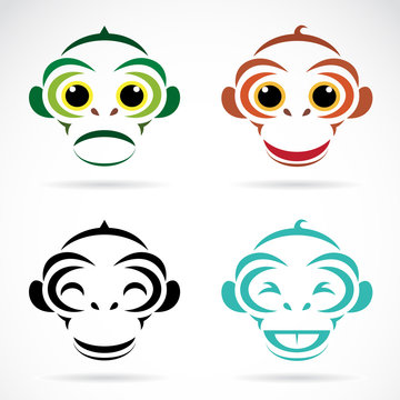 Vector image of an monkey on white background