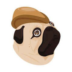 dog brown hat on white background