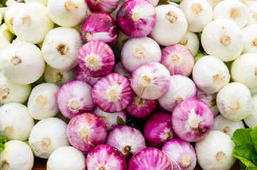 Red onions at the market