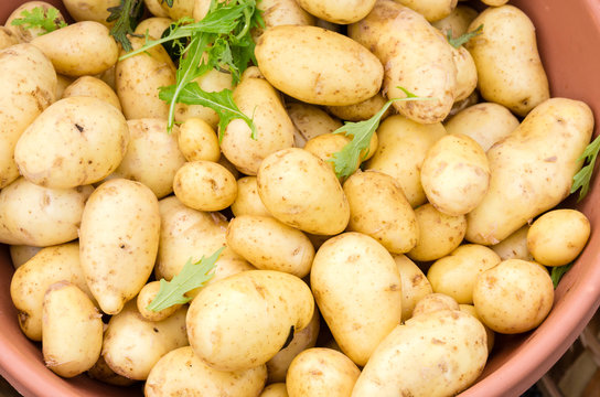 Fresh potatoes at the market