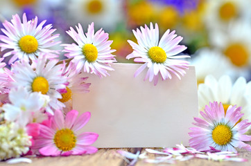 Liebe Grüße mit Gänseblümchen