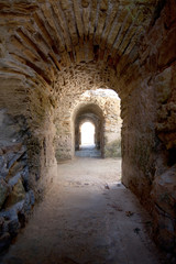 Fototapeta na wymiar Ruins of the Carthage in Tunisia