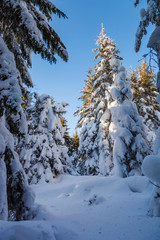 winter